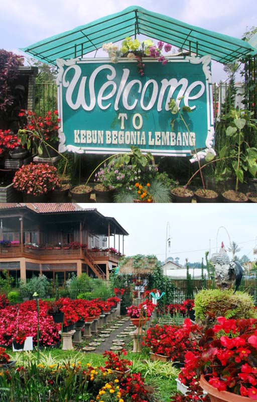  The Lodge Maribaya & Taman Bunga Begonia
