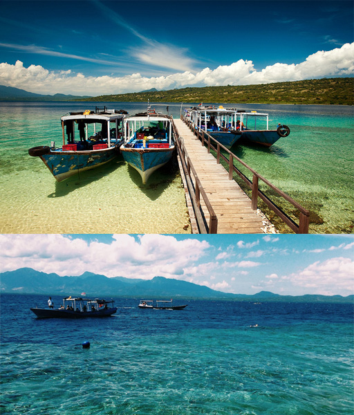  Tur Kawah Ijen-Taman Baluran-Pulau Menjangan
