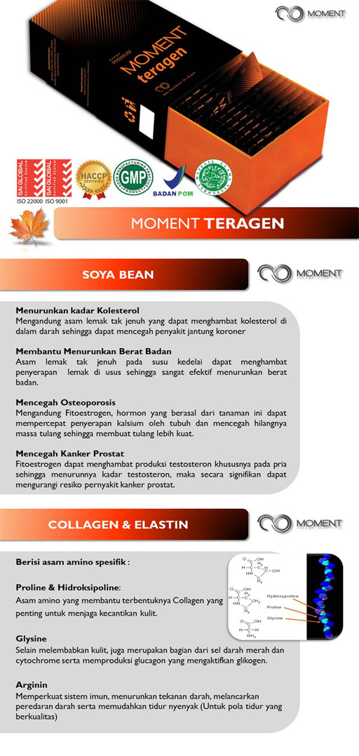  Moment Teragen