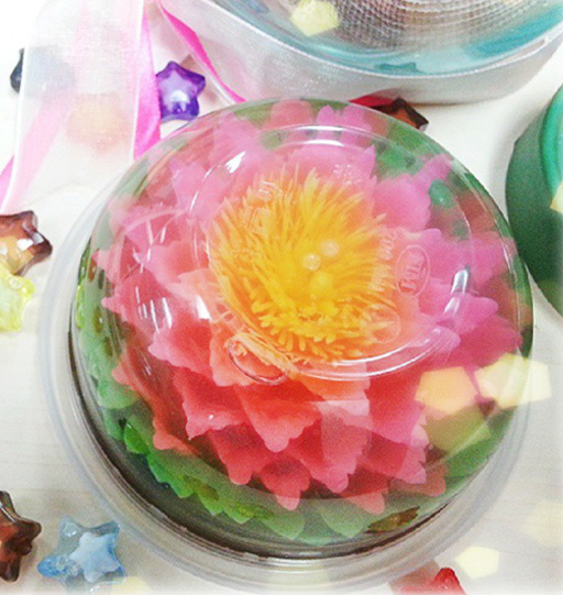  Homemade Jelly Pudding Art by Queen Pudding