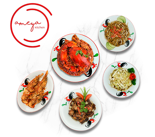 Special Package for 4 at Ameya Kitchen Somerset Grand Citra