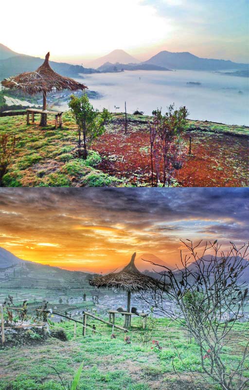   Dieng Culture Festival X “THE BEAUTY OF CULTURE”