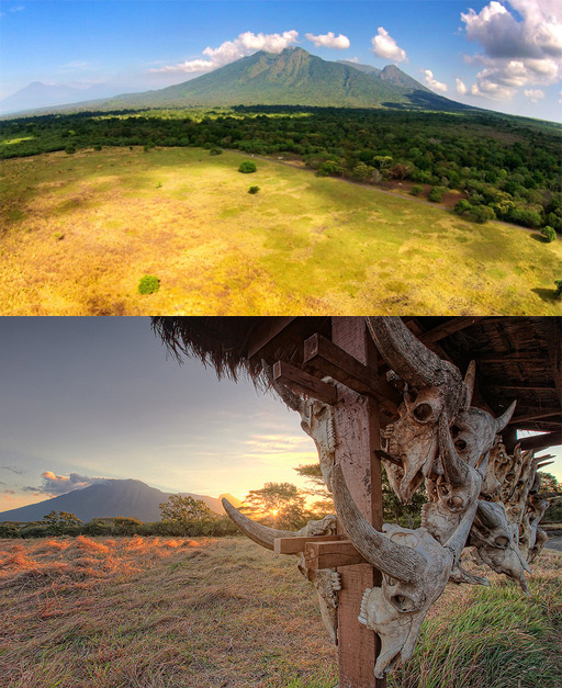  Tur Kawah Ijen-Taman Baluran-Pulau Menjangan