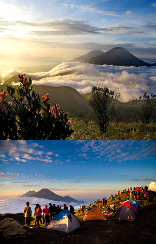  Tour Camping Gunung Prau - Dieng