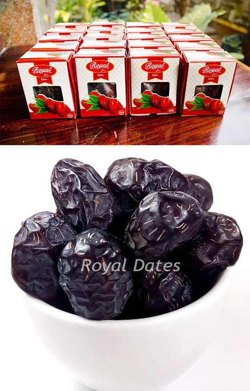  Royal Dates (Kurma) Import Saudi Arabia & Uni Emirat Arab