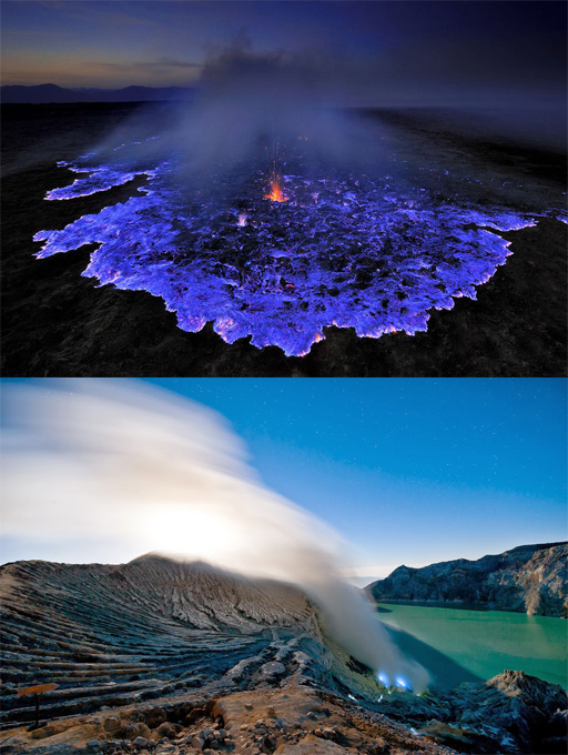  Tur Kawah Ijen-Taman Baluran-Pulau Menjangan