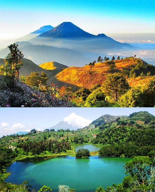   Dieng Culture Festival X “THE BEAUTY OF CULTURE”