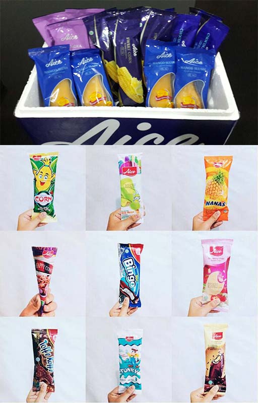 Paket 23 Ice Cream + Packaging